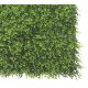 Zöldfal buxus levelekkel, VERTICAL-BUXUS, zöld, 100x100cm