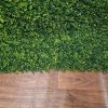 Zöldfal buxus levelekkel, VERTICAL-BUXUS, zöld, 100x100cm