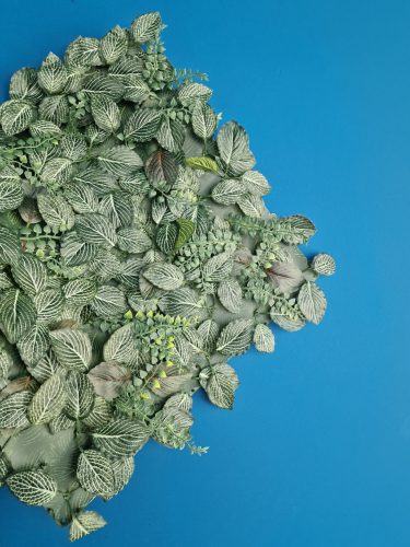 Zöldfal levelekkel, VERTICAL-FRESNO, zöld, 50x50cm