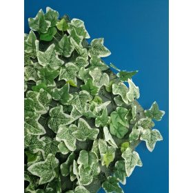 Zöldfal levelekkel, VERTICAL-ALAMEDA, zöld, 50x50cm