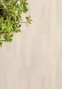 Tekercses vinyl (PVC), "BEECH" világos, fa mintás, 300cm