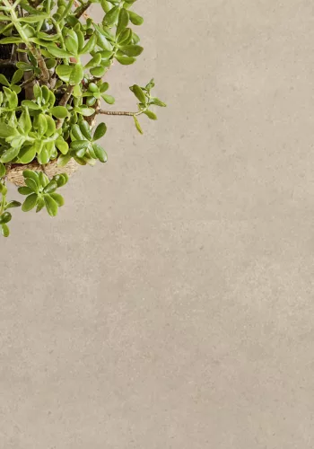 Tekercses vinyl (PVC) filc hátoldallal, "SHELLSTONE" grézs, beton mintás, 200cm