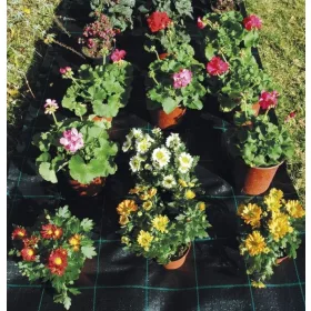   Agroszövet, szőtt geotextília talajtakarásra, 100g-os, 105cm