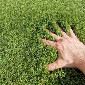 FLORIDA, 45mm műfű, sűrű, dús, élethű, 400cm