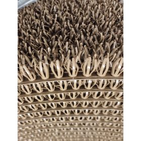   Lábtörlő tekercs, homok szín, műanyag tüskés, kaparó, sárleszedő, 91cm széles tekercs "AstroTurf"